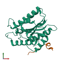 PDB entry 6tyw coloured by chain, front view.