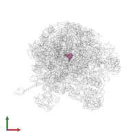 phazolicin in PDB entry 6u48, assembly 1, front view.