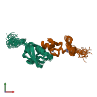 PDB entry 6u4n coloured by chain, ensemble of 20 models, front view.