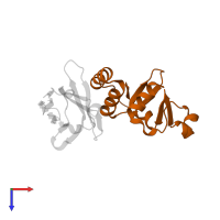 Nucleoprotein in PDB entry 6u55, assembly 1, top view.