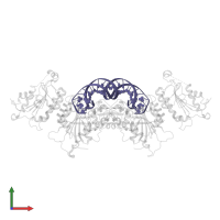 CpGpA DNA (25-MER) in PDB entry 6u8p, assembly 1, front view.