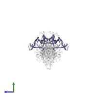 CpGpA DNA (25-MER) in PDB entry 6u8p, assembly 1, side view.