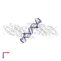 CpGpA DNA (25-MER) in PDB entry 6u8p, assembly 1, top view.