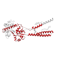 The deposited structure of PDB entry 6ud4 contains 4 copies of Pfam domain PF00060 (Ligand-gated ion channel) in Glutamate receptor 2. Showing 1 copy in chain A.