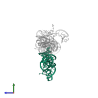 RNA (77-MER) in PDB entry 6ufh, assembly 1, side view.