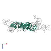 RNA (77-MER) in PDB entry 6ufh, assembly 1, top view.