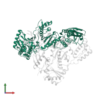 Reverse transcriptase/ribonuclease H in PDB entry 6ujx, assembly 1, front view.