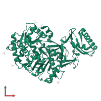 Amino acid adenylation domain-containing protein in PDB entry 6ulx, assembly 1, front view.