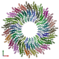 PDB entry 6uov coloured by chain, front view.