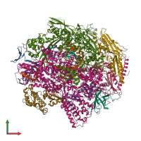 PDB entry 6upy coloured by chain, front view.