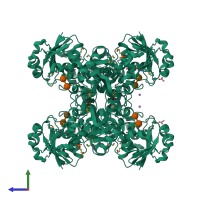 Homo tetrameric assembly 1 of PDB entry 6uto coloured by chemically distinct molecules, side view.