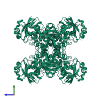 Glyceraldehyde-3-phosphate dehydrogenase A in PDB entry 6uto, assembly 1, side view.