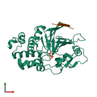 PDB entry 6uuq coloured by chain, front view.