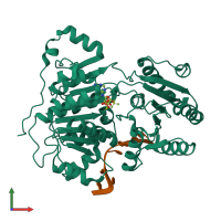 PDB entry 6uv4 coloured by chain, front view.