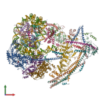 PDB entry 6uxw coloured by chain, front view.