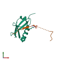 PDB entry 6uyv coloured by chain, front view.