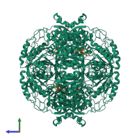 Homo tetrameric assembly 1 of PDB entry 6v0z coloured by chemically distinct molecules, side view.