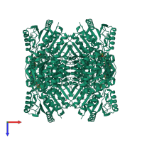 Homo tetrameric assembly 1 of PDB entry 6v0z coloured by chemically distinct molecules, top view.