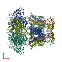 PDB entry 6v35 coloured by chain, front view.