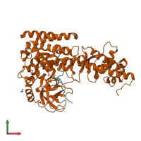 PDB entry 6v62 coloured by chain, front view.