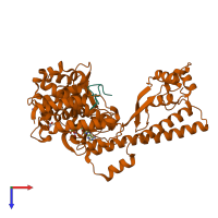 PDB entry 6v62 coloured by chain, top view.