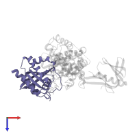 GTPase KRas, N-terminally processed in PDB entry 6v65, assembly 1, top view.