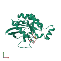 PDB entry 6v6u coloured by chain, front view.