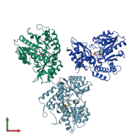 PDB entry 6v8c coloured by chain, front view.