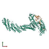 PDB entry 6v9i coloured by chain, front view.