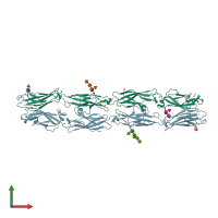 PDB entry 6vfr coloured by chain, front view.