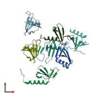 PDB entry 6vgj coloured by chain, front view.