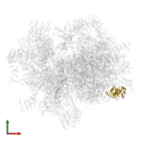 Large ribosomal subunit protein mL39 in PDB entry 6vlz, assembly 1, front view.