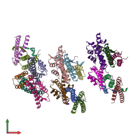 PDB entry 6vme coloured by chain, front view.