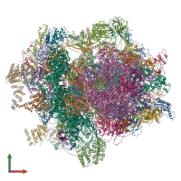 PDB entry 6vmi coloured by chain, front view.