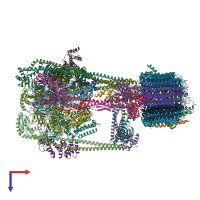 PDB entry 6vq6 coloured by chain, top view.