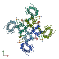 PDB entry 6vwx coloured by chain, front view.