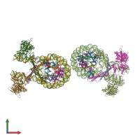 PDB entry 6vyp coloured by chain, front view.
