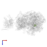 Large ribosomal subunit protein bL27 in PDB entry 6vyt, assembly 1, top view.