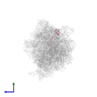 Large ribosomal subunit protein uL15 in PDB entry 6vyt, assembly 1, side view.