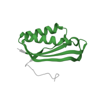 The deposited structure of PDB entry 6vyy contains 1 copy of Pfam domain PF01250 (Ribosomal protein S6) in Small ribosomal subunit protein bS6. Showing 1 copy in chain Z [auth L].
