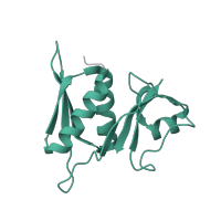 The deposited structure of PDB entry 6vyy contains 1 copy of Pfam domain PF00410 (Ribosomal protein S8) in Small ribosomal subunit protein uS8. Showing 1 copy in chain BA [auth N].