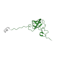 The deposited structure of PDB entry 6vyy contains 1 copy of Pfam domain PF00164 (Ribosomal protein S12/S23) in Small ribosomal subunit protein uS12. Showing 1 copy in chain FA [auth R].