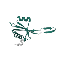 The deposited structure of PDB entry 6vyy contains 1 copy of Pfam domain PF00276 (Ribosomal protein L23) in Large ribosomal subunit protein uL23. Showing 1 copy in chain C [auth 2].