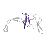 The deposited structure of PDB entry 6vyy contains 1 copy of Pfam domain PF00467 (KOW motif) in Large ribosomal subunit protein uL24. Showing 1 copy in chain D [auth 3].