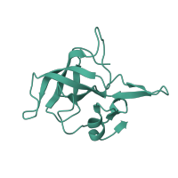 The deposited structure of PDB entry 6vyy contains 1 copy of Pfam domain PF00238 (Ribosomal protein L14p/L23e) in Large ribosomal subunit protein uL14. Showing 1 copy in chain GB [auth t].