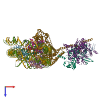 PDB entry 6vz4 coloured by chain, ensemble of 10 models, top view.