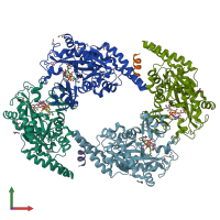 PDB entry 6vzr coloured by chain, front view.