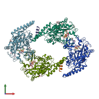 PDB entry 6vzv coloured by chain, front view.