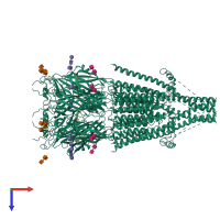 Homo pentameric assembly 1 of PDB entry 6w1m coloured by chemically distinct molecules, top view.