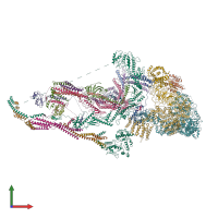 PDB entry 6w1s coloured by chain, front view.